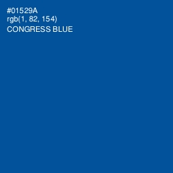 #01529A - Congress Blue Color Image